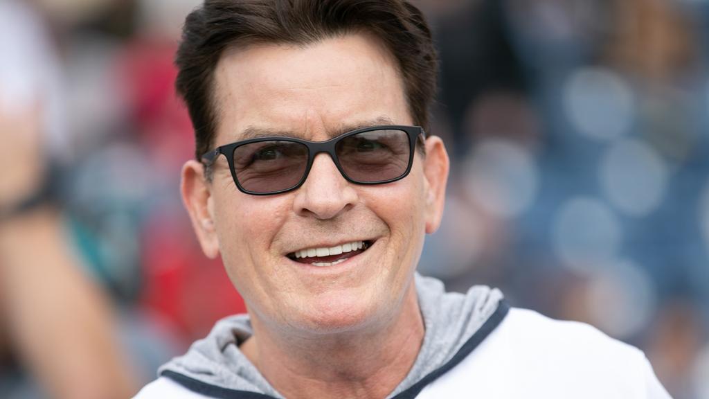 charlie sheen vermögen